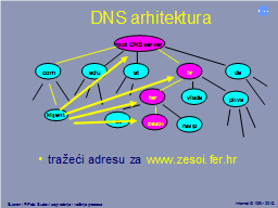 DNS arhitektura