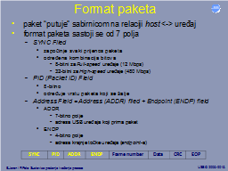 Format paketa