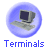 Terminal Info
